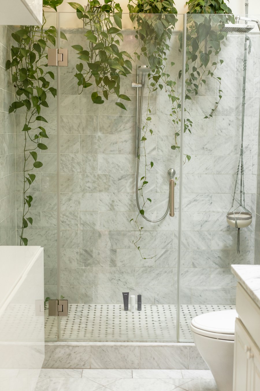 Ducha con puerta de vidrio y plantas colgantes, puertas de vidrio templado en Chile