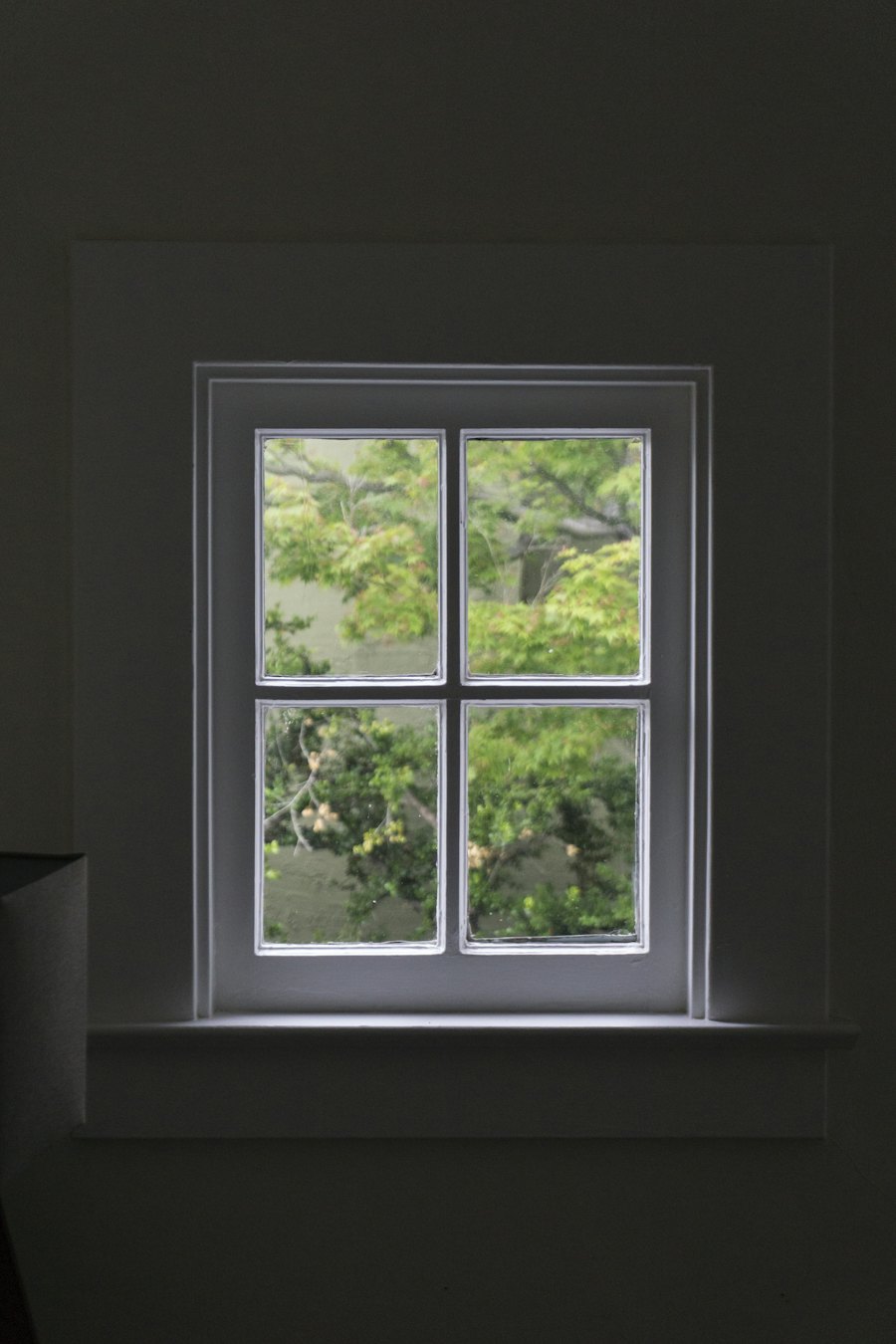 Ventana de cuatro cuadros con vista a un árbol, termopanel bajo emisivo en Chile